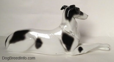 The right side of a white with black vintage Borzoi figurine that is laying down. The legs of the figurine are attached to the body.
