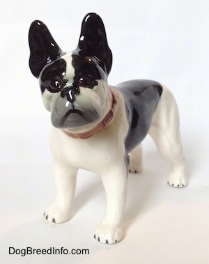 The front left side of a black and white vintage 1970s TMK 5 Boston Terrier figurine. The figurine has weak face details.