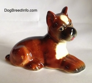 The right side of a brown with white and black Boxer puppy figurine. The figurine has fine eye details.