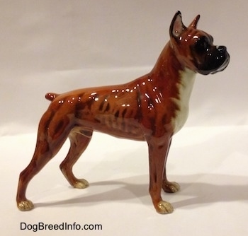 The right side of a brown with black and white Boxer dog figurine. The figurine is very glossy.