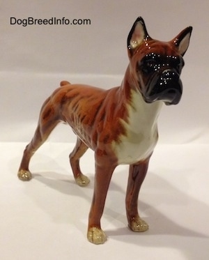 The front right side of a 1970s brown with black and white Boxer dog figurine. The eyes of the figurine are hard to differentiate from the face.