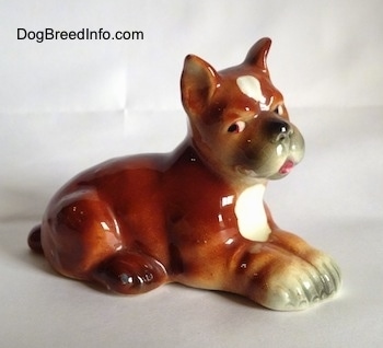 The right side of a brown with white and black Boxer puppy figurine. The paws of the figurine are attached together.