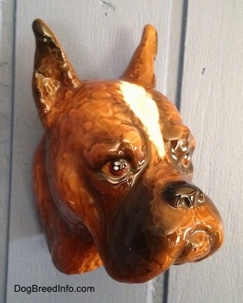 The front left side of a fawn Boxer dog head wall mount. The eyes of the figurine is very detailed.