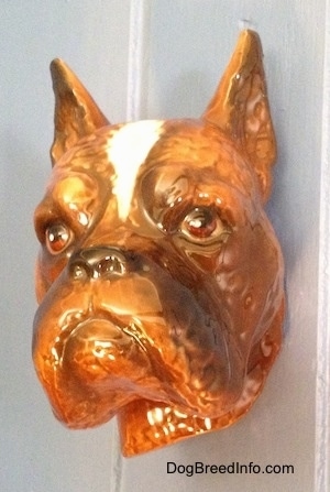 A fawn Boxer dog head wall mount. The figurine has fine face details.