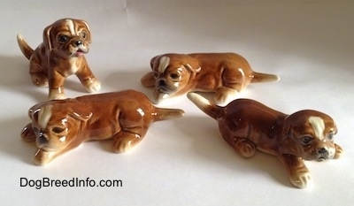 Four brown with white Boxer puppy figurines.