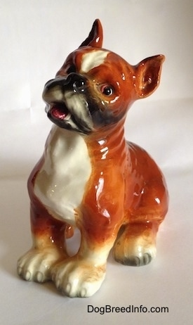 The front left side of a porcelain brown with white and black Boxer dog figurine. The figurine has a very detailed face.