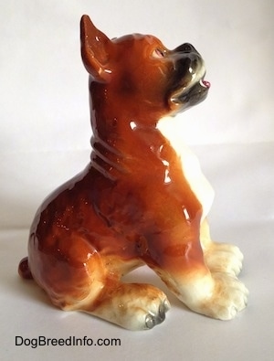 The right side of a porcelain brown with white and black Boxer dog figurine. The figurine is very glossy.