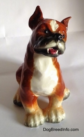 A porcelain brown with white and black Boxer dog figurine. The figurine has very detailed eyes.