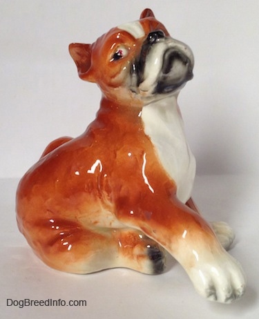 The right side of a porcelain brown with white and black Boxer dog figurine. The figurine has a detailed face.