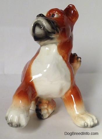 A porcelain brown with white and black Boxer dog figurine. The figurine is a dog scratching its side.