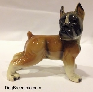 The right side of a brown with white and black porcelain Boxer dog figurine. The figurine has detailed eyes.