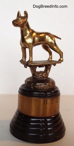 The front left side of a Bull Terrier Club trophy that has a golden Bull Terrier statue at the top.