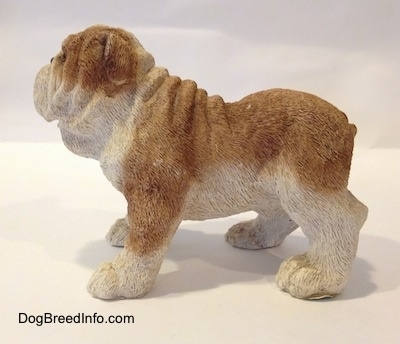 The left side of a brown and white ceramic mold of a Bulldog figurine. The figurine has a wrinkly face and back.