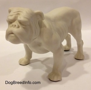 The front left side of a white bisque porcelain Bulldog figurine. The figurine has a wrinkly face.