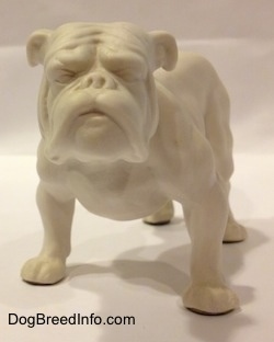 The front right side of a white bisque porcelain Bulldog figurine. The figurine has detailed arm definition.