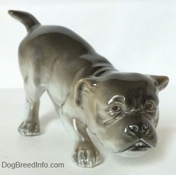 The front right side of a gray and white Bulldog figurine in a play bow pose. The Figurine has detailed brown eyes.