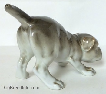 The back right side of a gray and white Bulldog figurine in a play bow pose. The figurines ears are easy to see against the head of the figurine.