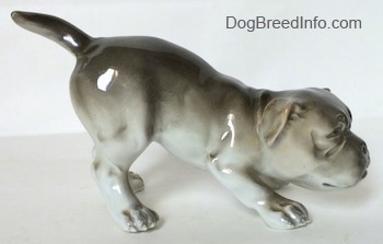 The right side of a gray and white Bulldog figurine in a play bow pose. The figurine is very glossy.