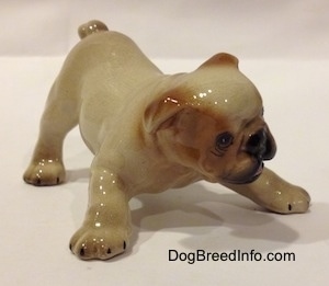 The front right side of a tan with brown Bulldog puppy figurine that is in a play bow pose. The figurine has small black lines for nails on the paws.