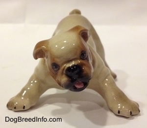 A tan with brown Bulldog puppy figurine that is in a play bow pose. The figurine has a detailed face and its mouth is open.