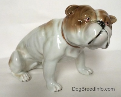 The front right side of a white with brown Bulldog figurine in a sitting pose. The ears of the figurine are easy to differentiate from the head.