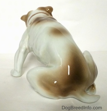 The back left side of a white with brown Bulldog figurine in a sitting pose. The figurine has a short tail.