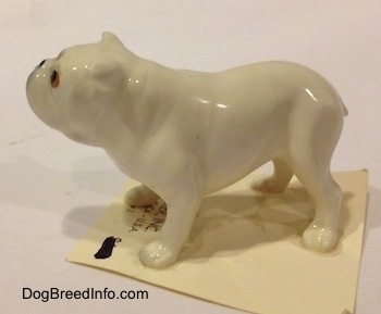 The left side of a white miniature Bulldog figurine. The figurine is glossy.