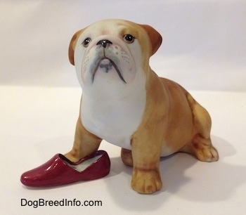 A tan with white Bulldog puppy figurine that has a red slipper shoe under it. The face of the figurine is detailed.