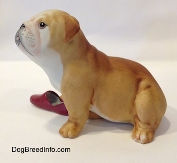 The left side of a tan with white Bulldog puppy figurine that has a red slipper shoe under it. The figurine has fine paw details.
