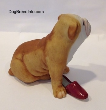 The front right side of a tan with white Bulldog puppy figurine that has a red slipper shoe under it. The ears of the figurine are hard to differentiate from the head.