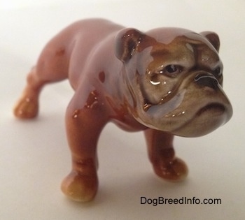 The front right side of a brown Bulldog figurine. The figurine is glossy.