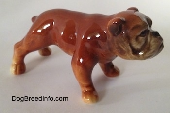 The front right side of a brown Bulldog figurine. The figurine has a wrinkly face.