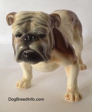 A wide-chested, brown and white with black Bulldog figurine. The figurine has black circles for eyes. The dog has a big head and a wrinkly face.