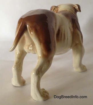The back right side of a brown and white with black Bulldog figurine. The figurine has a medium sized tail.