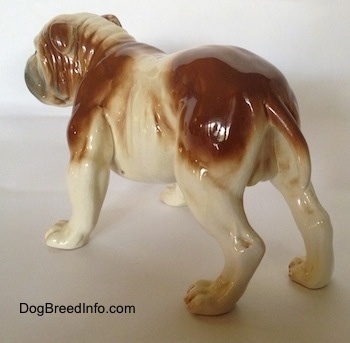 The back left side of a brown and white with black Bulldog figurine. The figurine is glossy.