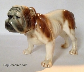 The front left side of a brown and white with black Bulldog figurine. The Bulldog has a black face.