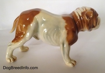 The right side of a brown and white Bulldog figurine. The Bulldog has a mediums ized tail that hangs behind it.