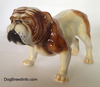 The front left of a brown and white Bulldog figurine. The figurine has wrinkles on its face.