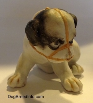 A white with black bone china Bulldog puppy figurine that has a muzzle on it.