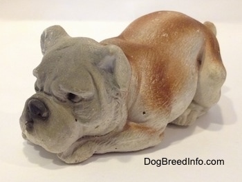 The front left side of a cement mold paperweight made that is a brown with white English Bulldog figurine that is laying down. The figurine has detailed eyes.