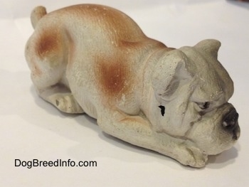 The front right side of a cement mold paperweight made that is a brown with white English Bulldog figurine that is laying down. The figurine has a hole on the side of its face.