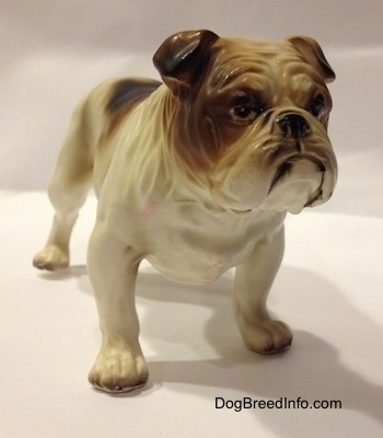 The front left side of a porcelain white with brown Bulldog figurine. The figurine is very detailed.