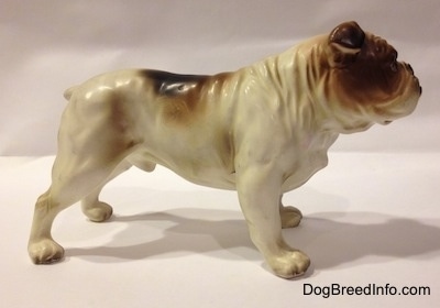 The right side of a porcelain white with brown Bulldog figurine. The figurine has a wrinkly neck.