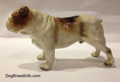 The left side of a porcelain white with brown Bulldog figurine. The figurine has great leg and paw details.