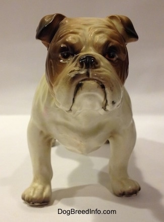 A porcelain white with brown Bulldog figurine. The figurine has a very detailed face.
