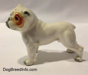The left side of a miniature white English Bulldog figurine with a brown spot over the eye. The figurine has great leg details.