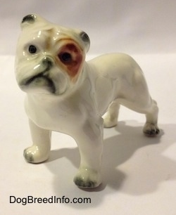 The front left side of a miniature white English Bulldog figurine with a brown spot over the eye. The figurine has black circles for eyes.