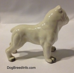 The right side of a miniature white English Bulldog with a brown spot over the eye. The figurine has fine paw details.