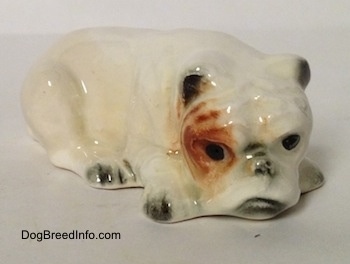 The front left side of a miniature white English Bulldog figurine that is in a lying down pose with a brown spot over its left eye.