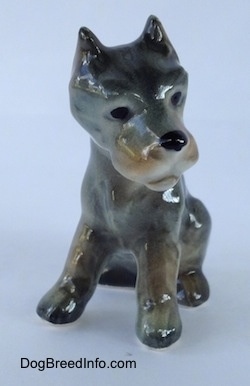 A grey with black and tan Cane Corso Italiano puppy figurine.